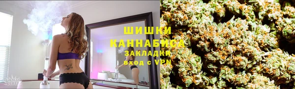 ALPHA PVP Гусев